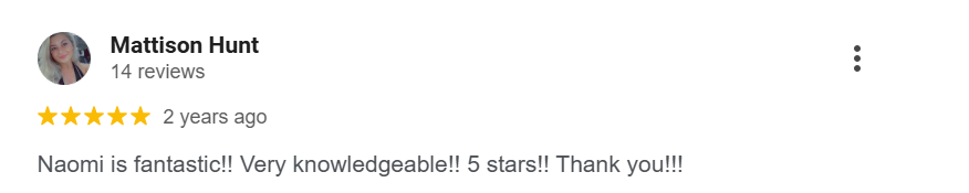 elekprotek charleston -review2